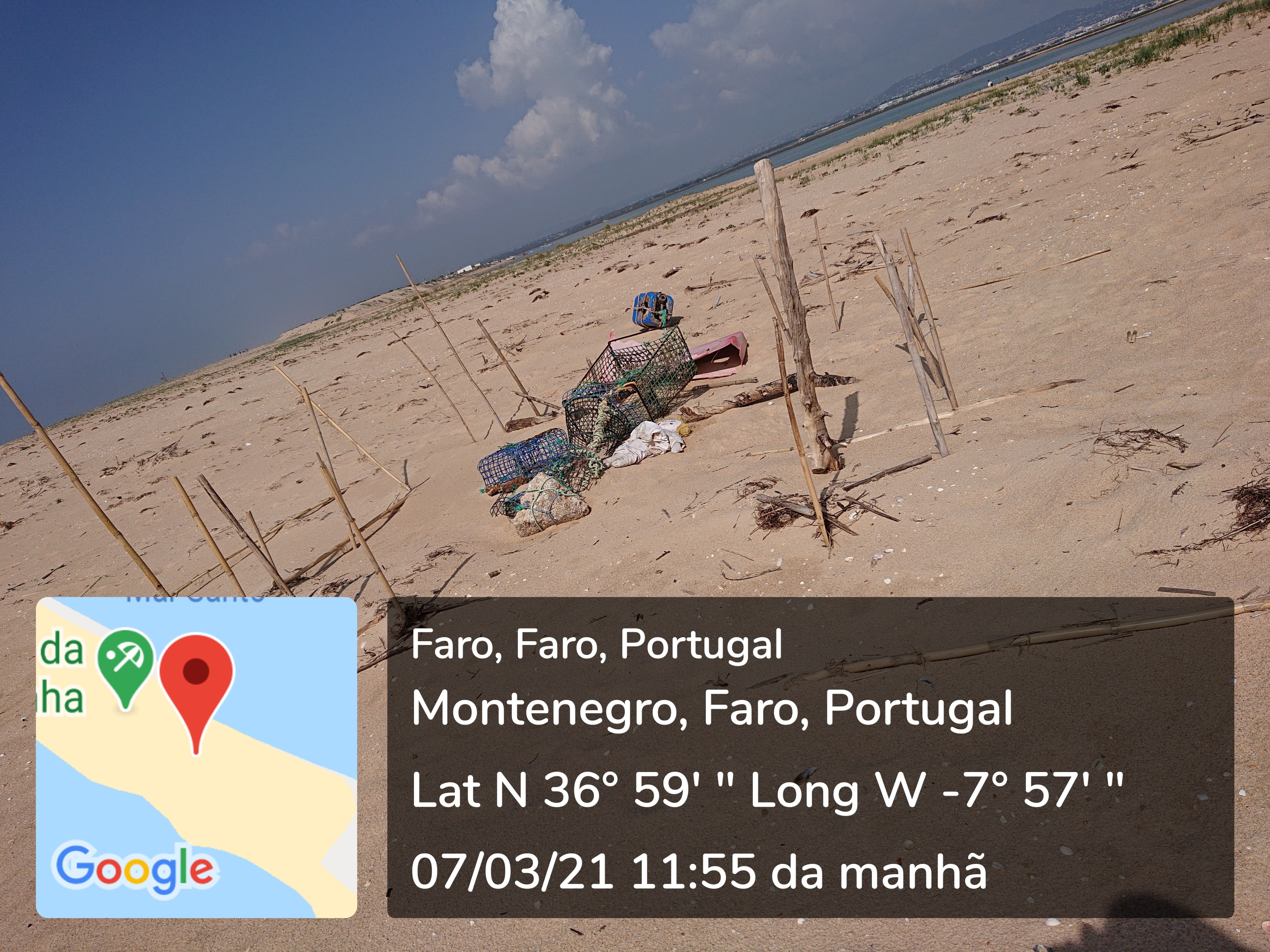 5º Painel - Os cavalos marinhos e as alterações globais - climáticas e antropogénicas