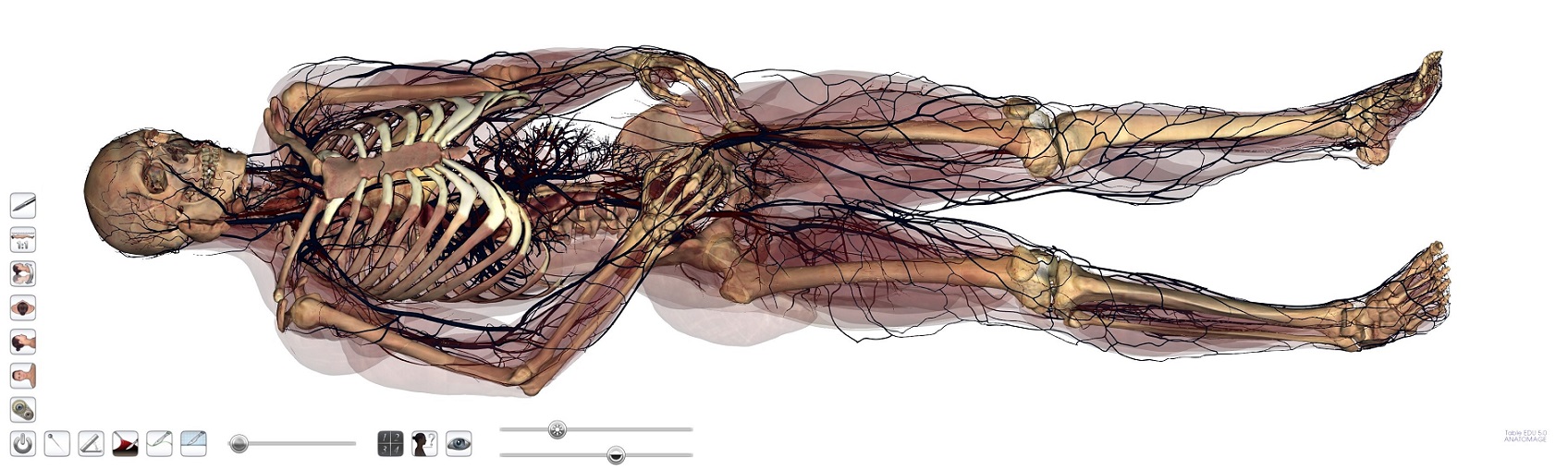 Anatomage – Mesa de Anatomia Virtual