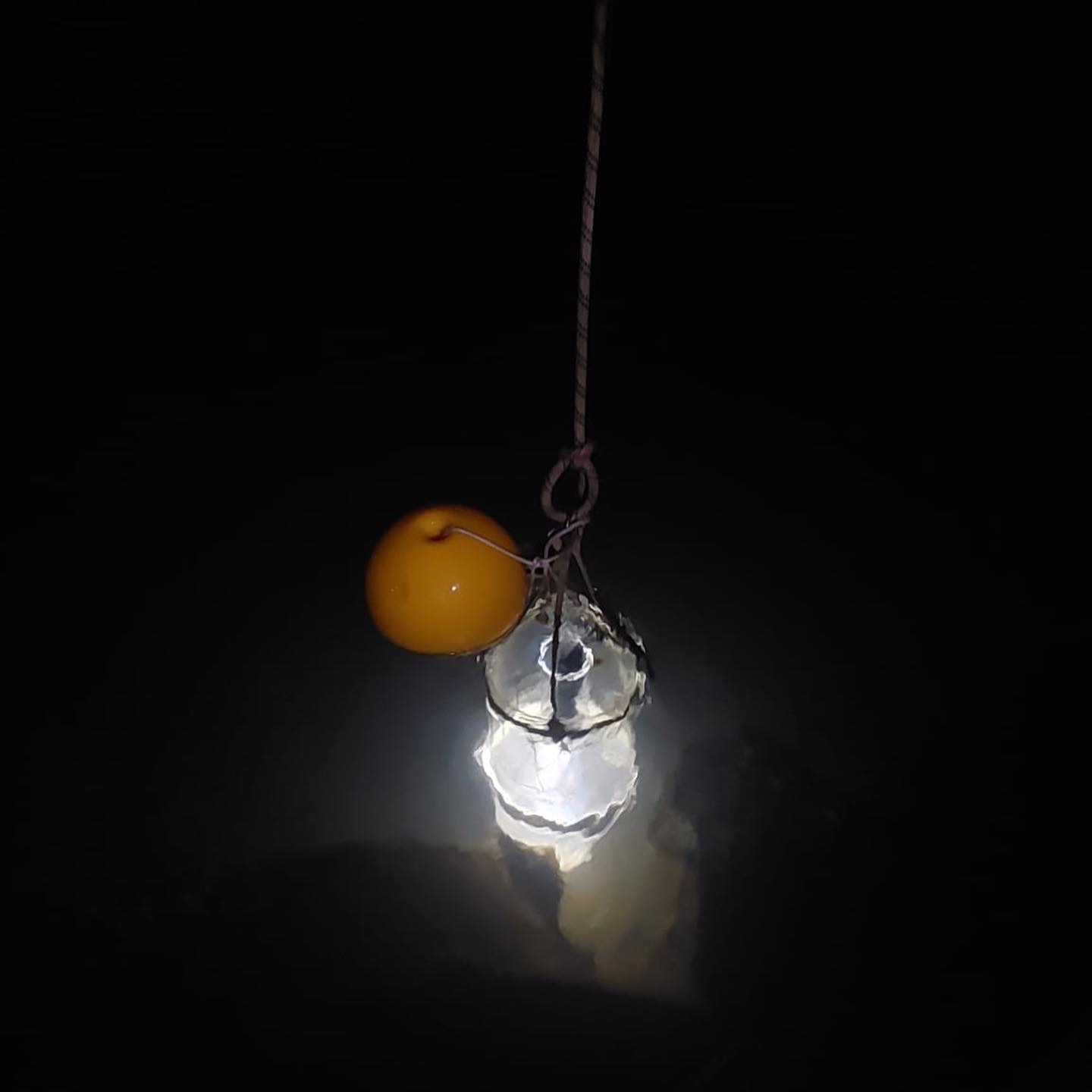 1º curso de mergulho livre científico