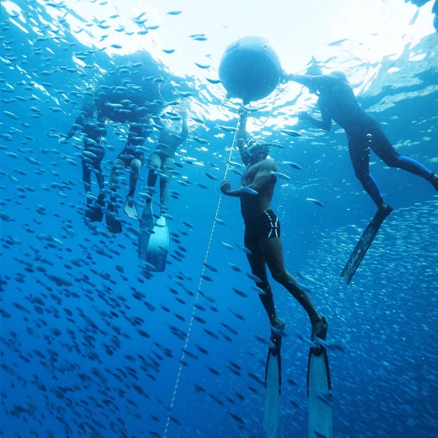 1º curso de mergulho livre científico