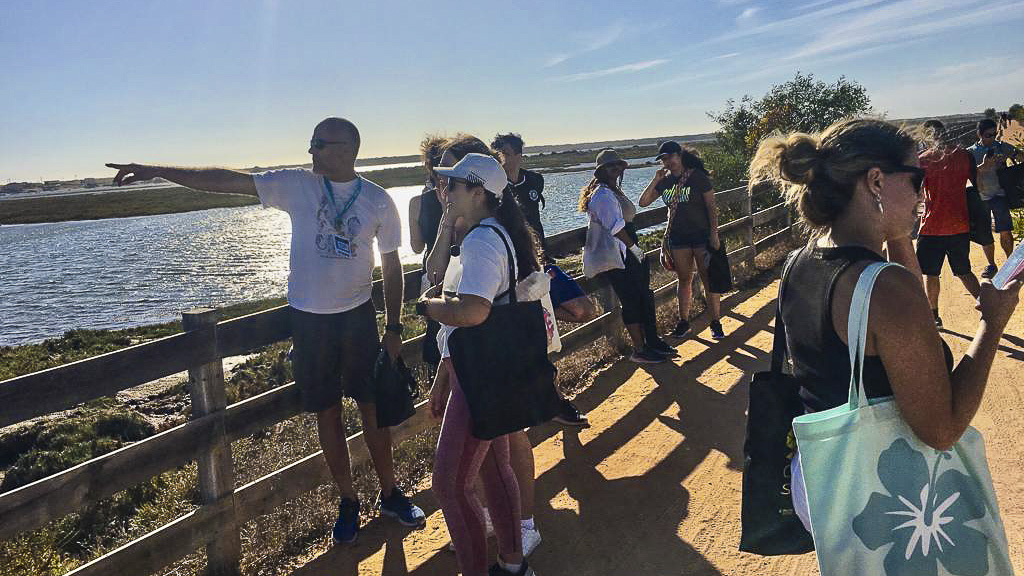 Passeio Cavalo-Marinho 