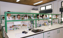 Miniatura