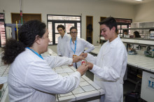 Miniatura